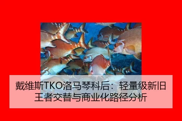 dai-wei-si-luo-ma-qin-ke-hou-qing-liang-ji-xin-jiu-wang-zhe-jiao-ti-yu-shang-ye-hua-lu-jing-fen-xi-2-146.jpg