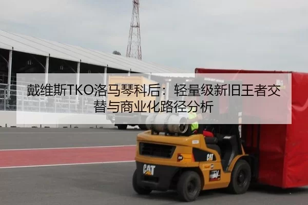 戴维斯TKO洛马琴科后：轻量级新旧王者交替与商业化路径分析